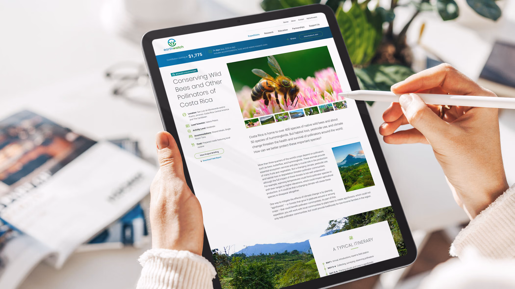 An expedition page from the rebuilt earthwatch.org, shown on a tablet in a reader’s hands: Conserving Wild Bees and Other Pollinators of Costa Rica, with a contribution starting at $1,775, the lead scientist, activity level, accommodations and a typical day-by-day itinerary.