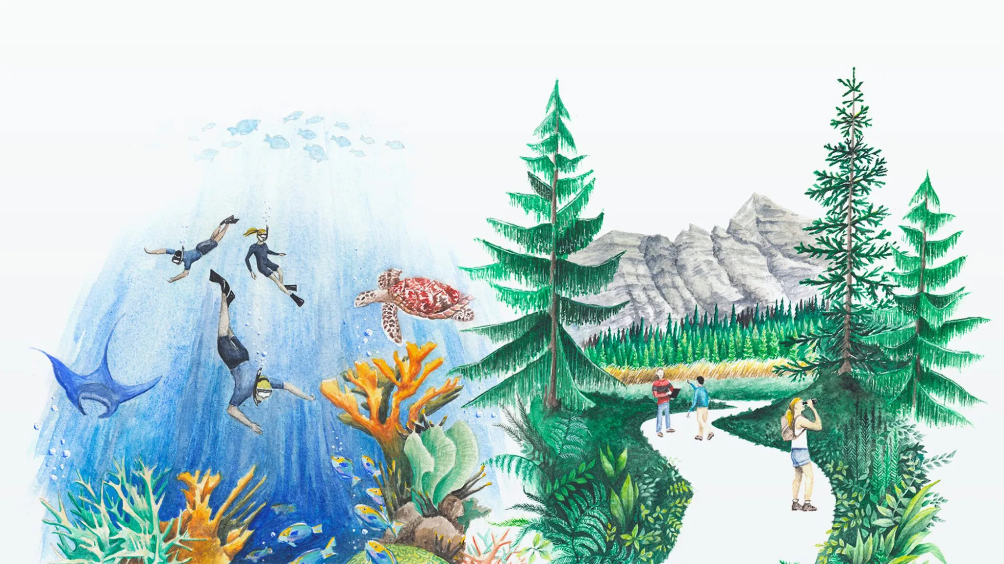 A watercolor illustration from the Earthwatch rebrand: snorkelers over a coral reef with a sea turtle and a manta ray on one side, and hikers with binoculars on a mountain forest trail on the other.