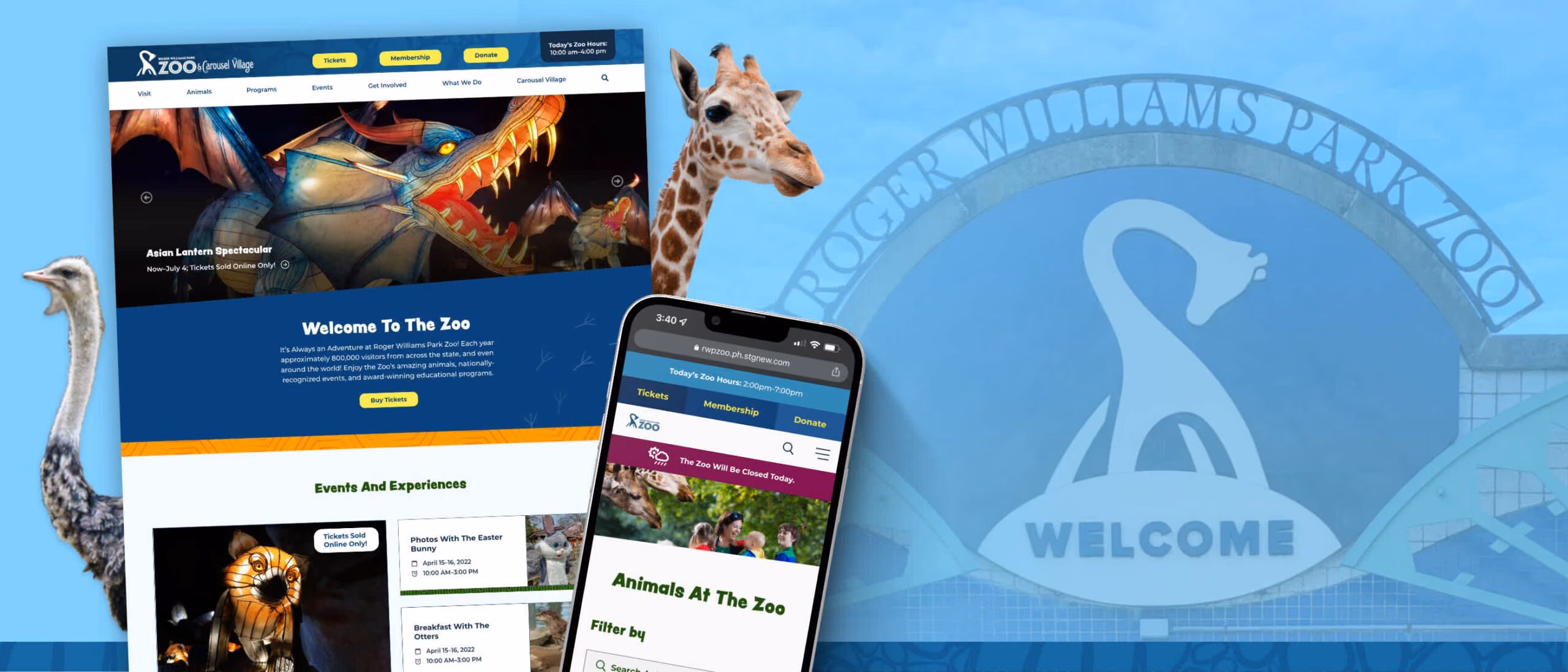 The Roger Williams Park Zoo site on desktop and phone against a pale blue ground, with a giraffe and an ostrich cut out beside it and the zoo’s arched entrance sign behind. The desktop screen leads with an illuminated dragon lantern captioned “Asian Lantern Spectacular”, above “Welcome To The Zoo” and an “Events And Experiences” row. The phone shows “Animals At The Zoo” under a closure notice.